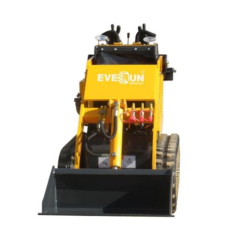 Everun Ers280 200kg Factory Sale Construction Small Mini Skid 